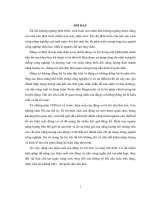 NGHIÊN cứu ẢNH HƯỞNG của TIẾT DIỆN RÃNH STATOR tới HIỆU SUẤT của ĐỘNG cơ KHÔNG ĐỒNG bộ BA PHA rô TO LỒNG sóc  