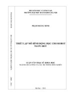 Thiết lập mô hình động học cho robot 914 PC BOT 