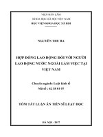 Hợp đồng lao động đối với người lao động nước ngoài làm việc tại việt nam tt