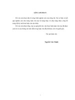 Nghiên cứu phương pháp tính toán đánh giá độ tin cậy và giải pháp nâng cao độ tin cậy lưới điện trung áp  