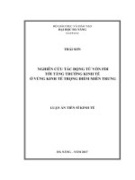 Nghiên cứu tác động từ vốn FDI tới tăng trưởng kinh tế ở Vùng kinh tế trọng điểm miền Trung (LA tiến sĩ)