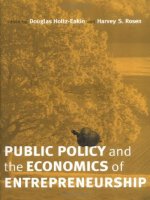 ENTREPRENEURSHIP public policy and the economics of entrepreneurship