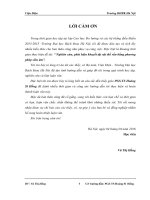 Nghiên cứu, phát triển khuyết tật vật thể rắn bằng phương pháp siêu âm 