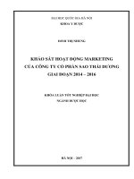 Khảo sát hoạt động marketing của công ty cổ phần sao thái dương giai đoạn 2014 – 2016 