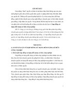 Đề tài về hợp đồng sử dụng đối tượng sở hữu công nghiệp, luận văn tốt nghiệp đại học, thạc sĩ, đồ án,tiểu luận tốt nghiệp 
