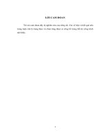 Nghiên cứu thuật toán dò tìm chuyển động ứng dụng cho camera thông minh  