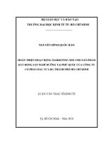 Hoàn thiện hoạt động marketing mix cho sản phẩm bất động sản nghỉ dưỡng tại phú quốc của công ty cổ phần đầu tư LDG thành phố hồ chí minh 