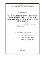 Rủi ro và lợi nhuận của các ngân hàng thương mại trường hợp việt nam và các nước châu á thái bình dương