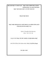 Thực hiện bình đẳng giới trong gia đình nông dân tỉnh hải dương hiện nay 