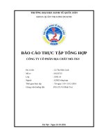 BÁO CÁO THỰC TẬP QUẢN TRỊ KINH DOANH TẠI CÔNG TY CỔ PHẦN ĐỊA CHẤT MỎTKV