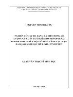 NGHIÊN CỨU SỰ ĐA DẠNG VÀ BIẾN ĐỘNG SỐ LƯỢNG CỦA CÁC LOÀI KIẾN (HYMENOPTERA FORMICIDAE) TRÊN một số SINH CẢNH tại TRẠM đa DẠNG SINH học mê LINH – VĨNH PHÚ