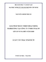 Giải pháp hoàn thiện hoạt động marketing tại công ty TNHH TM  DV gô CO VI NA đến năm 2020 