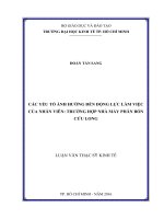 Các yếu tố ảnh hưởng đến động lực làm việc của nhân viêntrường hợp nhà máy phân bón cửu long 