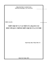 Miễn dịch và vai trò của bạch cầu đối với quá trình miễn dịch của cơ thể