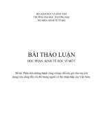 Phân tích những thành công và hạn chế của gói cho vay (tín dụng) tiêu dùng đối với đối tượng người có thu nhập thấp của Việt Nam.