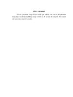 Giá trị sử dụng của bộ kít nhuộm hóa học tế bào HICYTEC trong phân loại thể bệnh bạch cầu cấp dòng lympho theo tiêu chuẩn FAB 