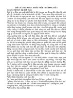 ĐỀ CƯƠNG ĐỀ CƯƠNG SINH THÁI MÔI TRƯỜNG ĐẤT