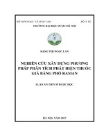 Nghiên cứu xây dựng phương pháp phân tích phát hiện thuốc giả bằng phổ Raman (LA tiến sĩ)