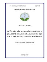 Bước đầu xây dựng mô hình in silico quá trình hòa tan của dạng cốm bột chứa một số hoạt chất nhóm NSAIDs 