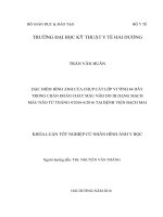 Đặc điểm hình ảnh của chụp cắt lớp vi tính 64 dãy trong chẩn đoán chảy máu não do dị dạng mạch máu não từ tháng 42016 62016 tại bệnh viện bạch mai 