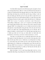 Nghiên cứu đặc điểm phân bố và mức độ kháng kháng sinh của các vi khuẩn gây bệnh mới nổi tại bệnh viện quân y 103