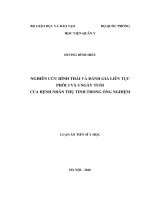Nghiên cứu hình thái và đánh giá liên tục phôi 3 và 5 ngày tuổi của bệnh nhân thụ tinh trong ống nghiệm (LA tiến sĩ)