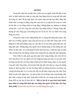 Tiểu luận môn các đảng chính trị trên thế giới  một số vấn đề về quá trình hình thành, quan điểm và cương lĩnh lãnh đạo của đảng cầm quyền xã hội dân chủ thụy điển (SDP)