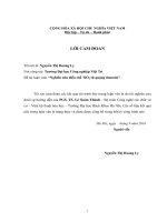 Nghiên cứu điều chế tio2 từ quặng ilmenit 