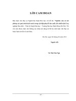 Nghiên cứu và mô phỏng các quá trình tách nước trong cột hấp phụ để sản xuất cồn nhiên liệu 