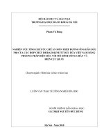 Nghiên cứu tính chất ức chế ăn mòn thép đường ống dẫn dầu n80 của các hợp chất imidazoline từ dầu dừa việt nam bằng phương pháp điện hóa với mô hình dòng chảy và điện cực quay 