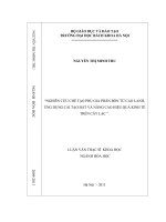 Nghiên cứu chế tạo phụ gia phân bón từ cao lanh, ứng dụng cải tạo đất và nâng cao hiệu quả kinh tế trên cây lạc 