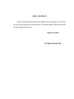 Nghiên cứu đặc điểm lâm sàng, tác nhân vi sinh và một số dấu ấn sinh học trong đợt cấp bệnh phổi tắc nghẽn mạn tính. (LA tiến sĩ)