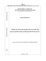 Nghiên cứu chế tạo phụ gia phân bón từ cao lanh, ứng dụng cải tạo đất và nâng cao hiệu quả kinh tế trên cây rau 