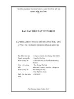 ĐÁNH GIÁ HIỆN TRẠNG MÔI TRƯỜNG KHU VỰC CÔNG TY CỔ PHẦN DINH DƯỠNG HADUCO