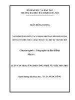 Xác định tính chất của xi măng khi thay đổi hàm lượng bột đá vôi siêu mịn và dải cỡ hạt của bột đá vôi siêu mịn 