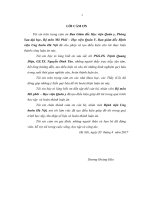 Nghiên cứu đặc điểm mô bệnh học ung thư biểu mô dạ dày, các diện cắt phía trên u và thời gian sống thêm sau phẫu thuật (LA tiến sĩ)