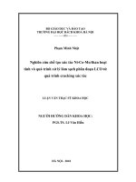 Nghiên cứu chế tạo xúc tác ni co mothan hoạt tính và quá trình xử lý làm sạch phân đoạn LCO từ quá trình cracking xúc tác 