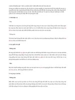 Content thời trang cho Facebook