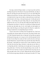 Tiểu luận môn các đảng chính trị trên thế giới  một số kinh nghiệm từ quá trình đổi mới toàn diện của đảng cộng sản cuba trong tình hình hiện nay