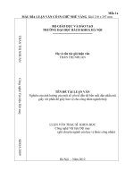 Nghiên cứu ảnh hưởng của một số yếu tố đến độ bền mối dán phần mũ giầy với phần đế giầy bảo vệ cho công nhân ngành thép 