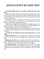 ĐỀ CƯƠNG ĐÁNH GIÁ RỦI RO SINH THÁI