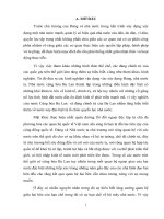 Tiểu luận môn các đảng chính trị trên thế giới  “đảng cầm quyền diễn đàn dân sự  (civic platform)   cộng hòa ba lan cơ cấu tổ chức và tư tưởng chính trị