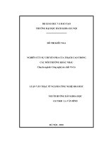 Nghiên cứu sự chuyển pha của thạch cao trong các môi trường khác nhau 