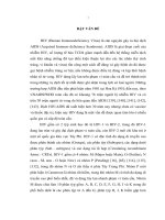 Nghiên cứu ứng dụng mPCR để xác định phân týp của HIV1 ở Hà Nội  Viêng Chăn (2007 2011) (LA tiến sĩ)