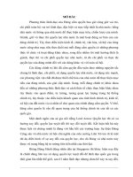 Tiểu luận môn các đảng chính trị trên thế giới phương thức lãnh đạo của đảng cầm quyền singapore