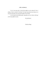 Nghiên cứu đặc điểm lâm sàng, cận lâm sàng và kết quả điều trị can thiệp nội mạch ở bệnh động mạch chi dưới mạn tính. (LA tiến sĩ)