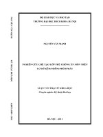 Nghiên cứu chế tạo lớp phủ chống ăn mòn trên cơ sở kẽmnhômphốt phát 