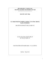 Các biện pháp dự phòng chống tấn công trong mạng internet  