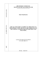 Chế tạo, tổng hợp và nghiên cứu tình hình thái cấu trúc bề mặt và đặc trưng của hệ vi điện cực cấu trúc bởi dây nanopolymer dẫn điện biến tính polypyrol 