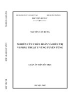 Nghiên cứu chẩn đoán và điều trị vi phẫu thuật u vùng tuyến tùng (LA tiến sĩ)